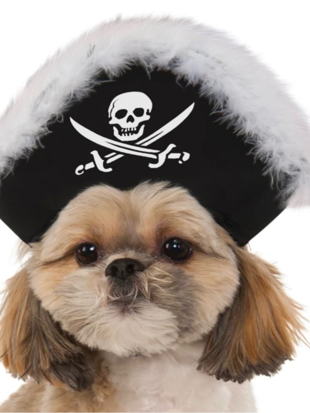 Pirate Hat Caribbean Fancy Dress Up Halloween Pet Costume Accessory